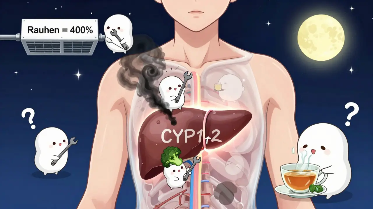 Eine stilisierte Leber mit freundlichen Enzymgeistern, die Rauch von Fleisch und Gemüse verarbeiten, im Sternenhimmel.